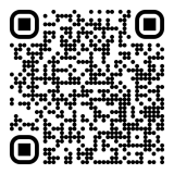 Web QR Code